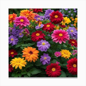 Colorful Dahlias Canvas Print