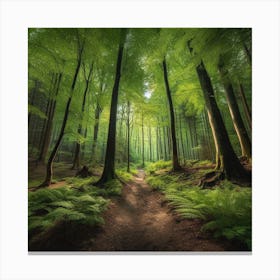 Ferns In The Forest 14 Canvas Print