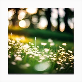 Dandelions Canvas Print