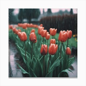 Tulips In The Rain Canvas Print