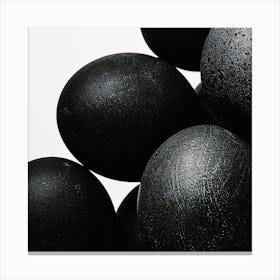 Black Eggs Canvas Print