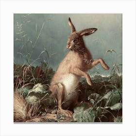 Rabbits 1 5 1 Canvas Print