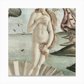 Birth Of Venus Canvas Print