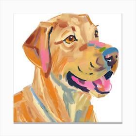Labrador Retriever 02 Canvas Print