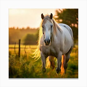 Grass Mane Head Graze Equestrian Pasture Elegant Sun Beauty Horse Standing Rural Green (11) Canvas Print