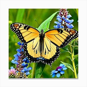 Butterflies Insect Lepidoptera Wings Antenna Colorful Flutter Nectar Pollen Metamorphosis (27) Canvas Print
