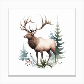 Elk 1 Canvas Print