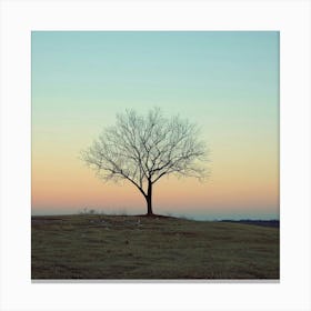 Lone Tree At Sunset 6 Canvas Print