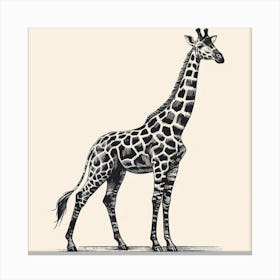 Illustration Giraffe 3 Canvas Print