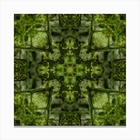 Abstract Green Pattern Canvas Print