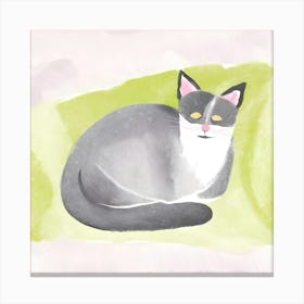 Grey Cat Canvas Print