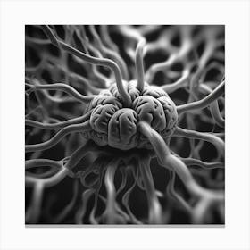 Close Up Of A Brain 1 Canvas Print