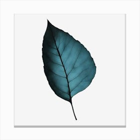 Minimalist leaf Canvas Print