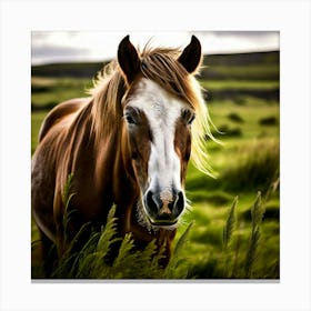 Grass Horse Rural Farm Nature Field Mammal Fast Horse Natural Animal Meadow Mane Friends (4) Canvas Print