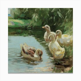 Ducks By Edward Mcdonald Canvas Print