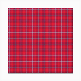 Plaid Fabric 148 Canvas Print