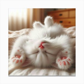 White Cat Sleeping On A Bed Canvas Print