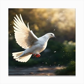 Dove In Flight 1 Canvas Print