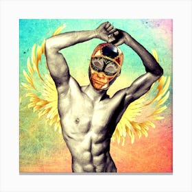 Angel - wings - mask - colors - photo montage Canvas Print