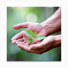 Moke Up Love Care Support Unity Bond Strength Resilience Diversity Joy Warmth Guidance (6) Canvas Print