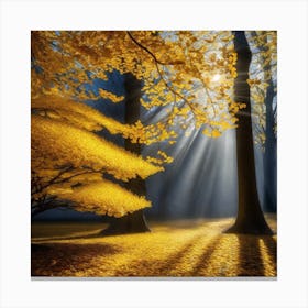 Autumn Sunlight Canvas Print