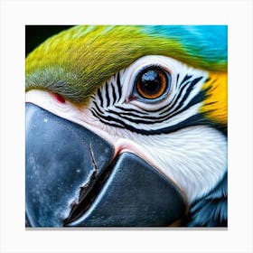 Vibrant Vigilance: A Macaw’s Gaze Canvas Print