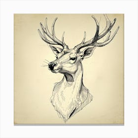 Deer Head 2 Canvas Print