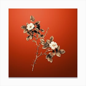 Gold Botanical Spiny Leaved Rose of Dematra on Tomato Red Canvas Print