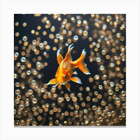 Goldfish with Bubbles Canvas Print