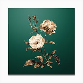 Gold Botanical Ever Blowing Rose on Dark Spring Green n.4618 Canvas Print