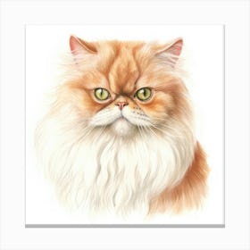 Colorpoint Persian Cat Portrait 2 Canvas Print