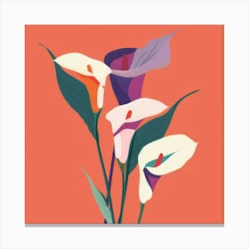 Calla Lily 2 Canvas Print