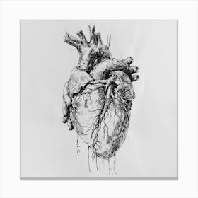 Human Heart Canvas Print