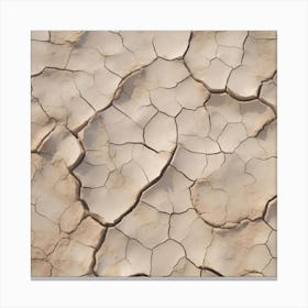 Dry Cracked Earth 6 Canvas Print