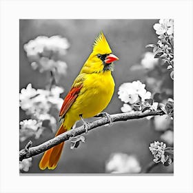 Yellow Cardinal Canvas Print