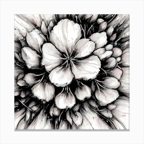 Apple Blossom 14 Canvas Print
