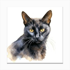 Bombay Sable Cat Portrait Canvas Print