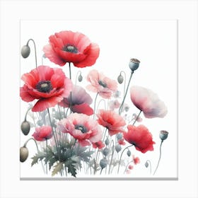 Oriental poppy 2 Canvas Print