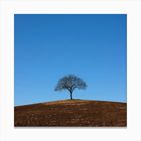 Lone Tree On A Hill Canvas Print