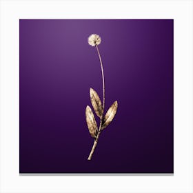 Gold Botanical Victory Onion on Royal Purple n.3276 Canvas Print