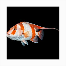 It's a vibrant fish with striking red and white stripes 4 Canvas Print