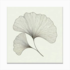 Line Art gingko leaves 2 Canvas Print