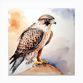 Falcon Watercolour Canvas Print
