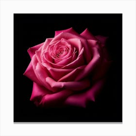 Pink Rose On Black Background 1 Canvas Print