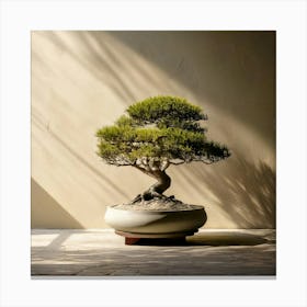 Firefly Bonsai, Tree, Minimalist, Setting, Soft, Shadows, Neutral, Background, Serene, Calm, Nature, (9) Canvas Print