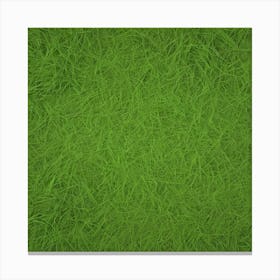Grass Background Photo Canvas Print
