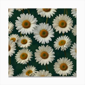 Default Daisy Blooms In Green Square Canvas Print 0 Canvas Print