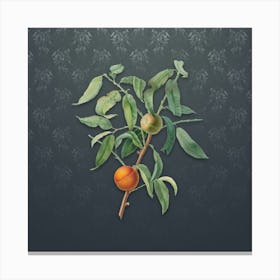 Vintage Peach Botanical on Slate Gray Pattern n.2077 Canvas Print