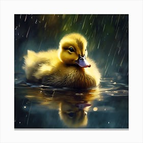 Duckling in Spring Rain on the River Canvas Print