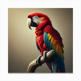 Parrot 23 Canvas Print